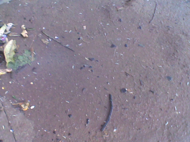 Image004.jpg